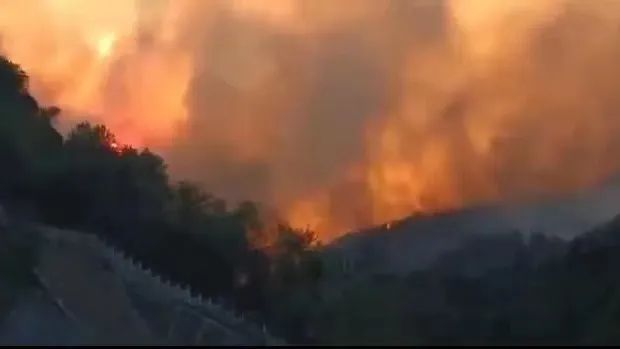 山火SOS，“十八般武艺”的TA们请求出战