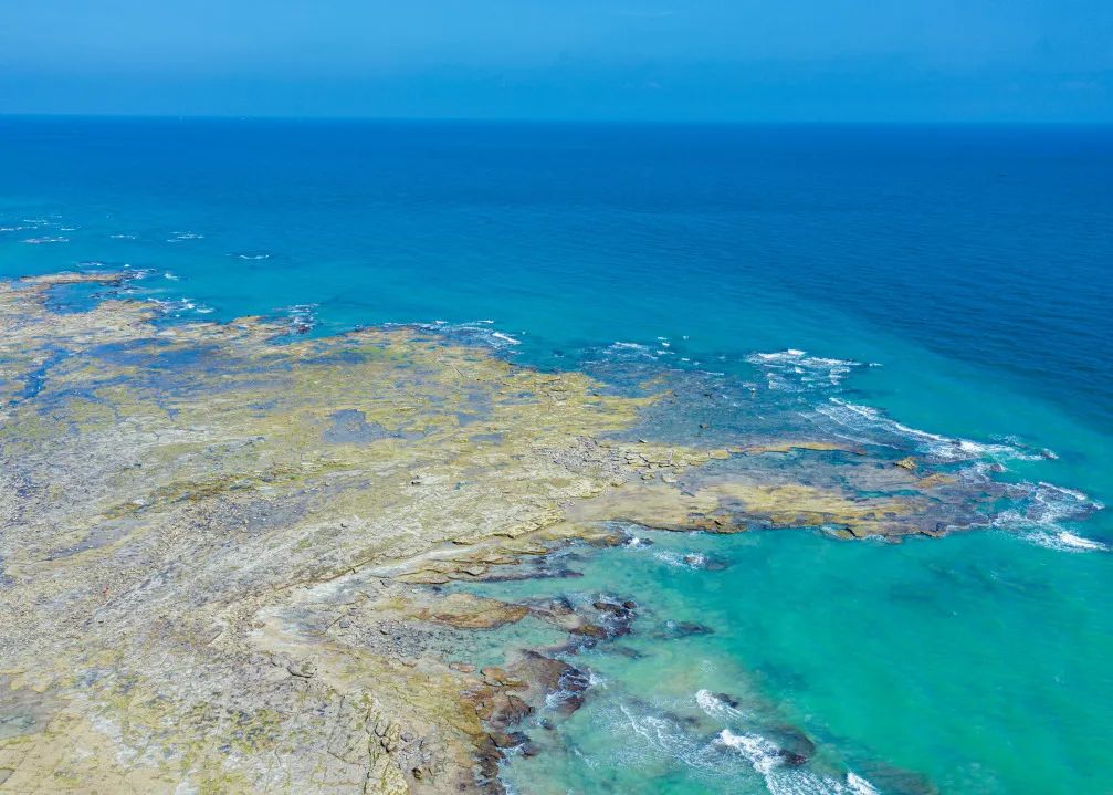 开放啦！赢多多橙色骑士团已就位，与您相约涠洲岛！