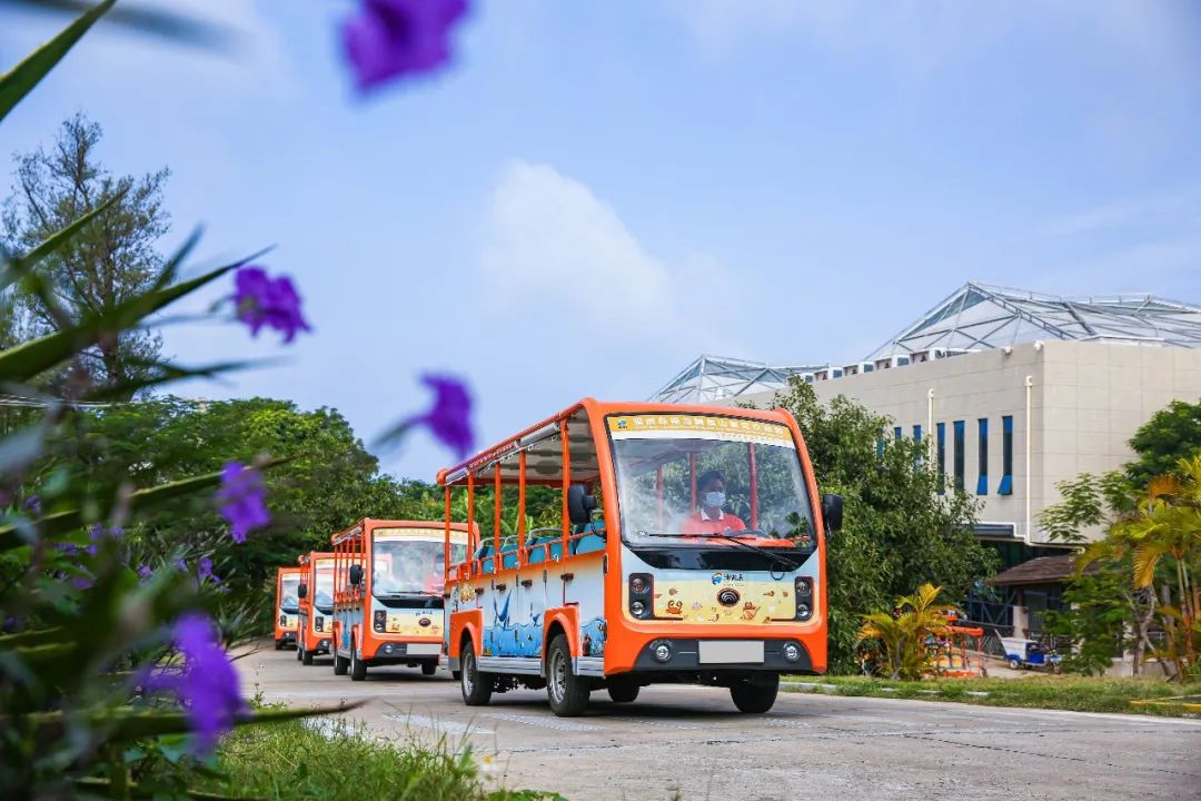 开放啦！赢多多橙色骑士团已就位，与您相约涠洲岛！