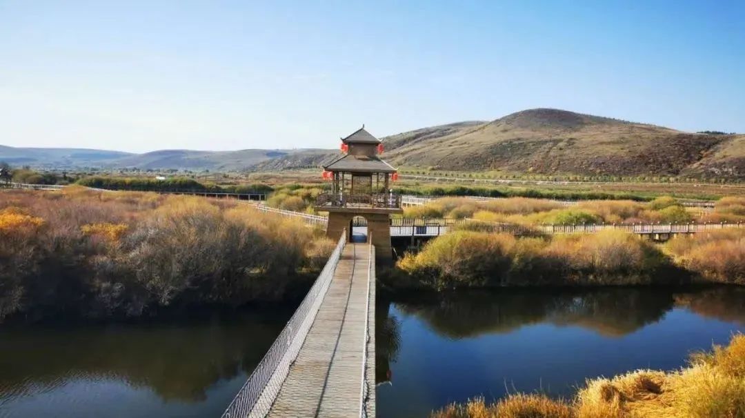 只看一眼就“沦陷”，这个秋天，来多伦湖邂逅第一波秋色！