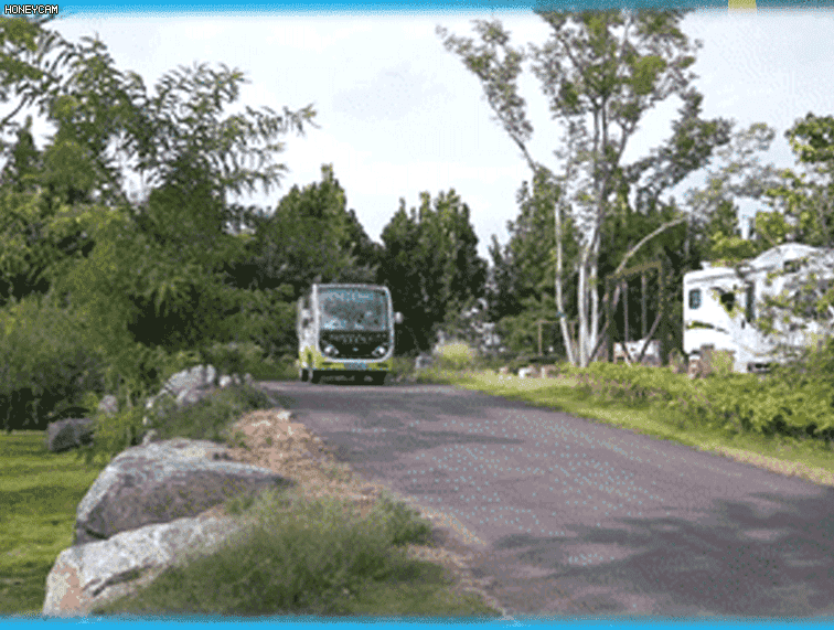 如何定义一辆高品质观光车？