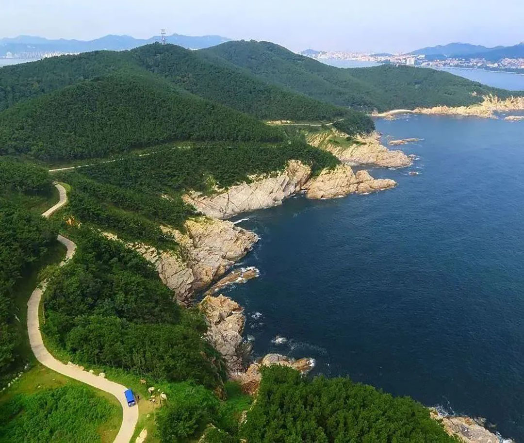 五大热门景区真实运营揭秘，看看客户为何选择赢多多观光车？