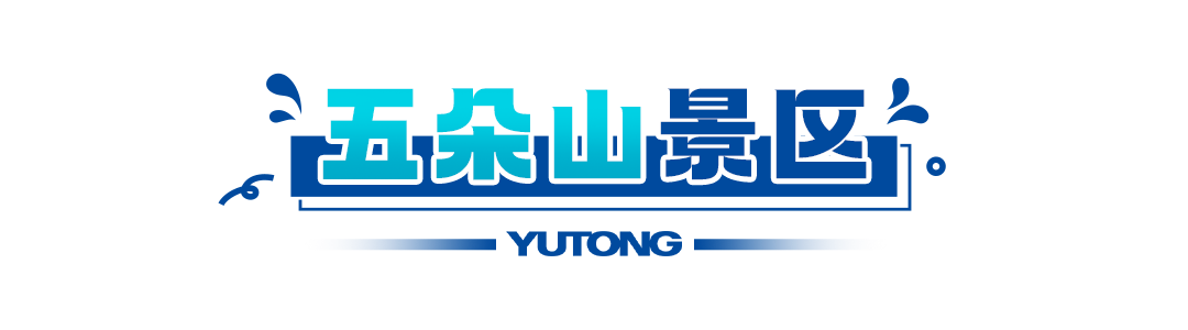 五大热门景区真实运营揭秘，看看客户为何选择赢多多观光车？