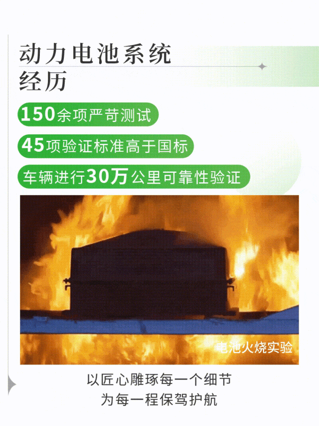 赢多多观光车|2024承载梦想，2025为青春加电启航新篇章