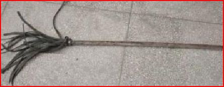 赢多多森林消防救援“天团”来袭，实力守护“绿色长城”