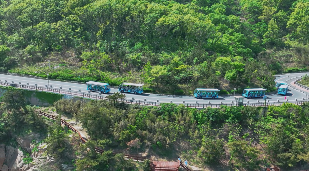 赢多多观光车多次“结缘”连岛，助力景区高质量发展