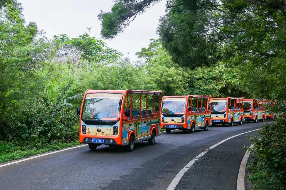 2024年“五一”假期旅游数据出炉，旅游市场呈现新趋势！