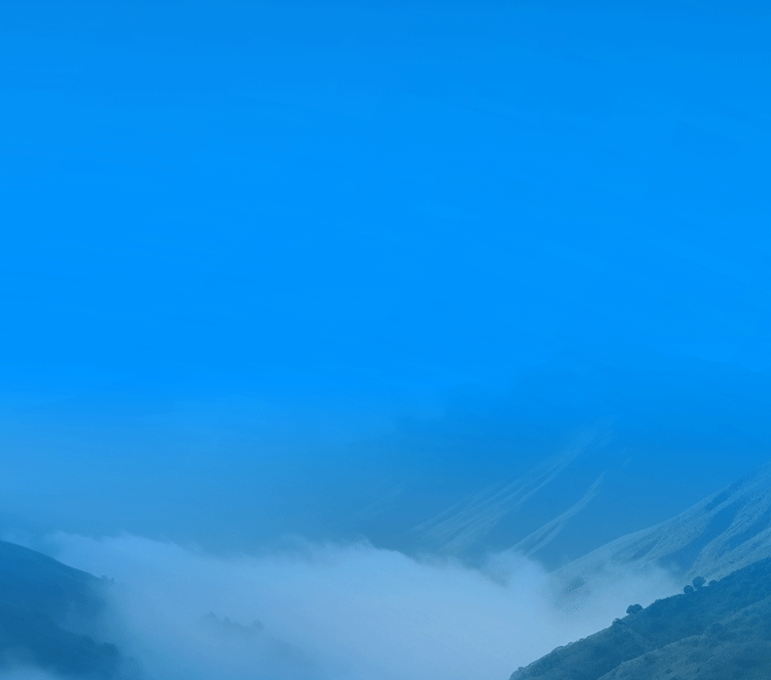 3月28日，赢多多有一个重大决定