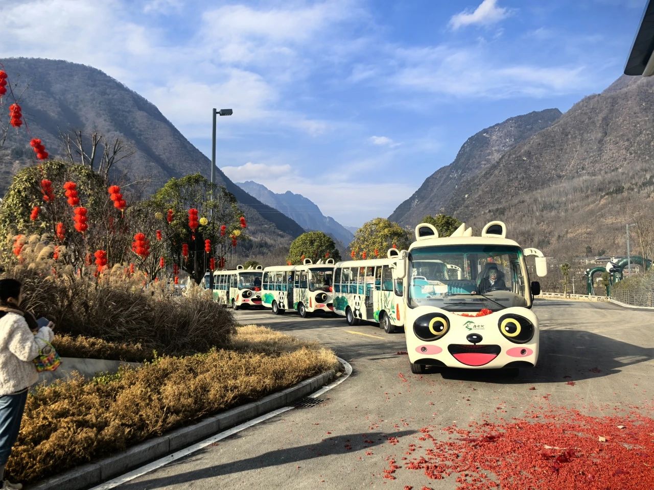 2025年景区交通该往哪儿发力？赢多多观光车助力打造景区交通运营新“范式”