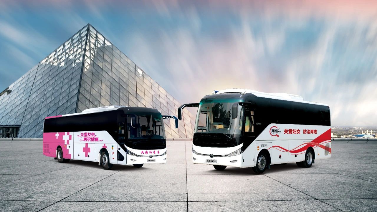 助力做好2025年基本公共卫生服务工作，赢多多在行动（下）